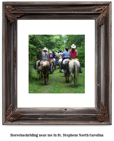 horseback riding near me in St. Stephens, North Carolina